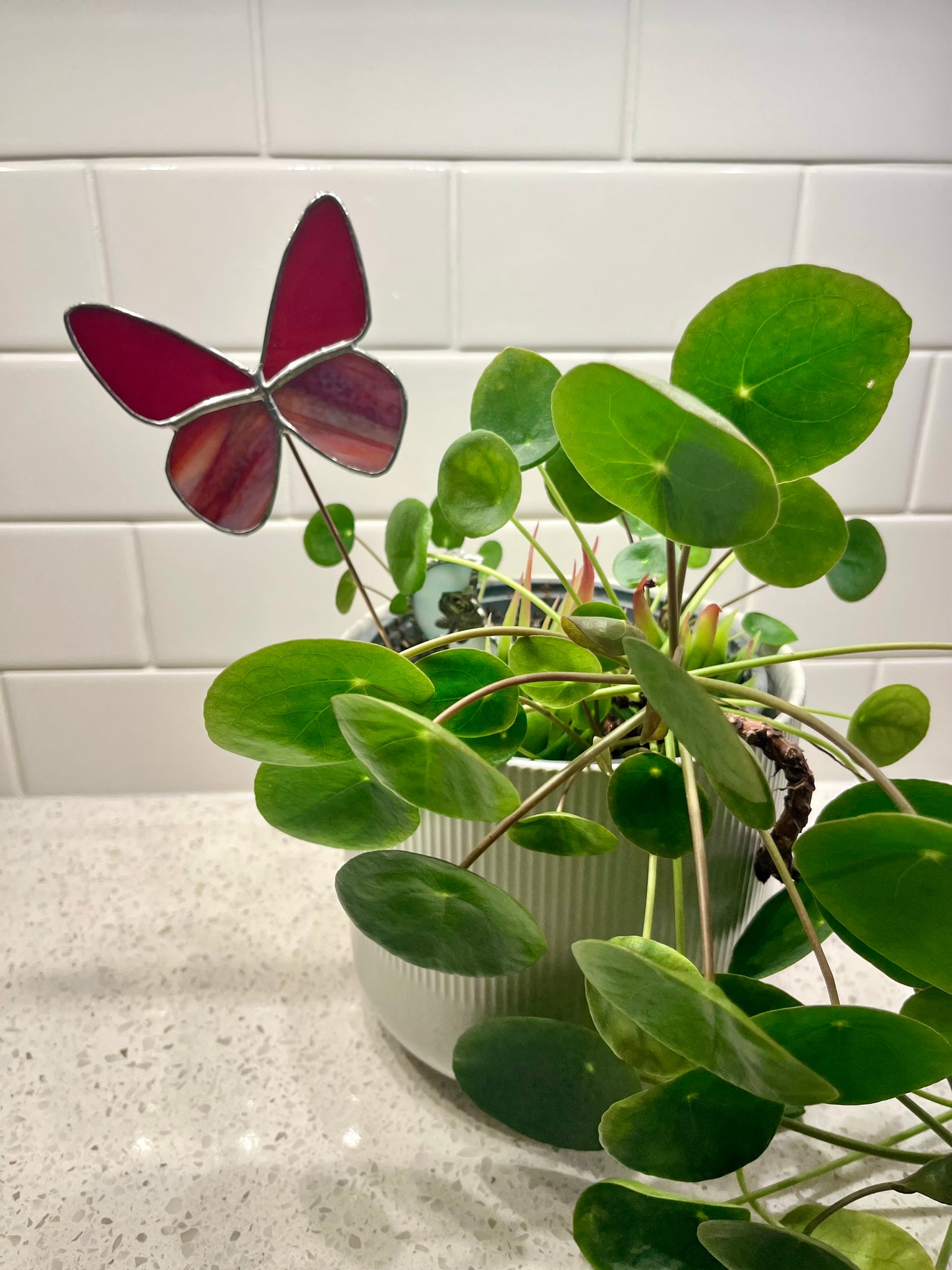 Butterfly plant stake