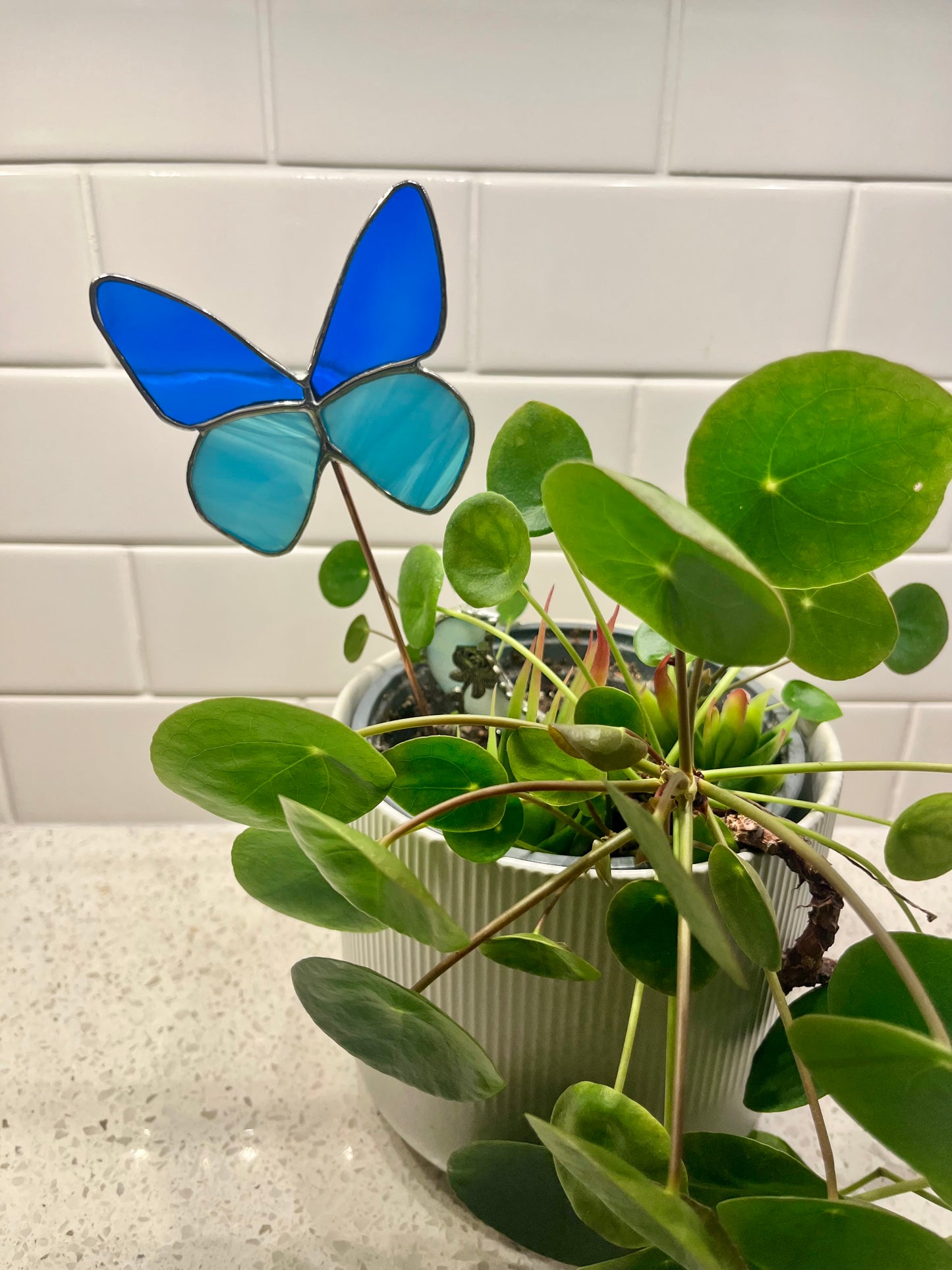 Butterfly plant stake