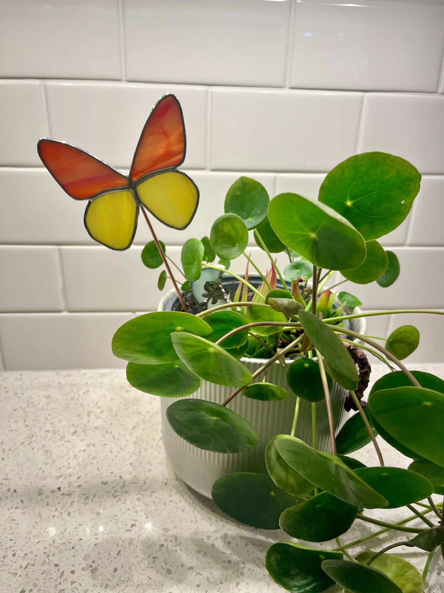 Butterfly plant stake