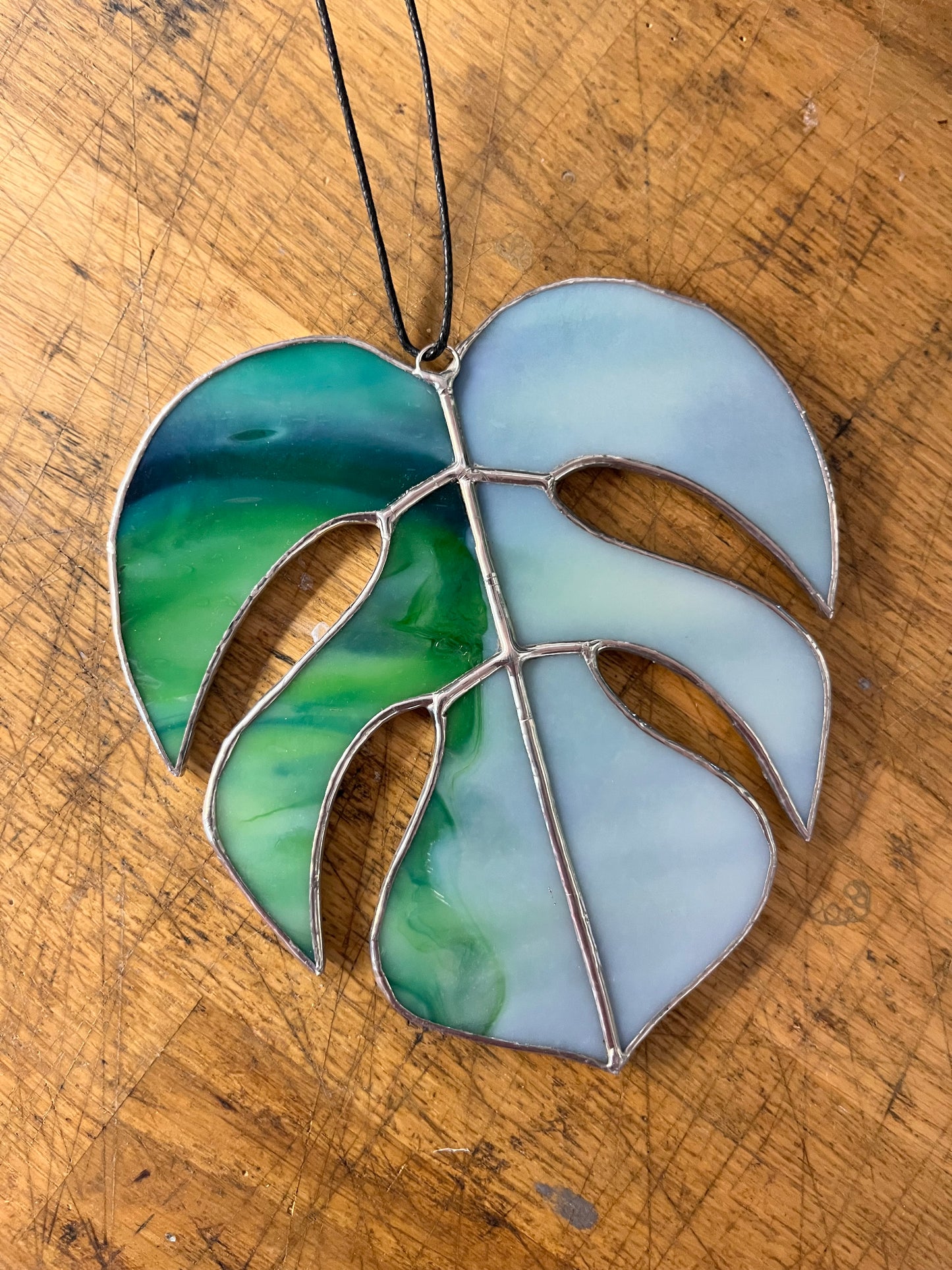 Monstera leaf