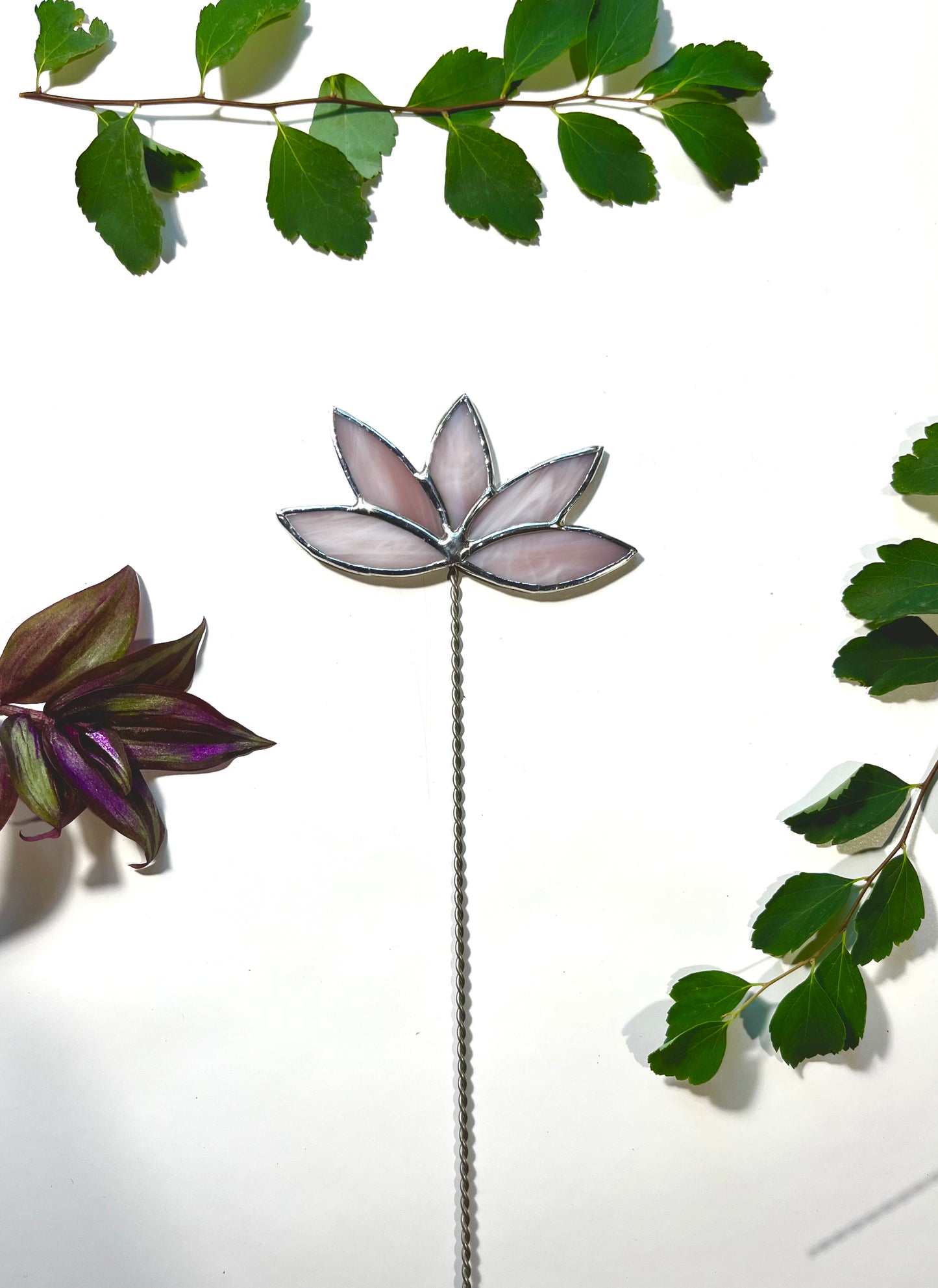 Forever florals - birth month 07 - July flower - water lily