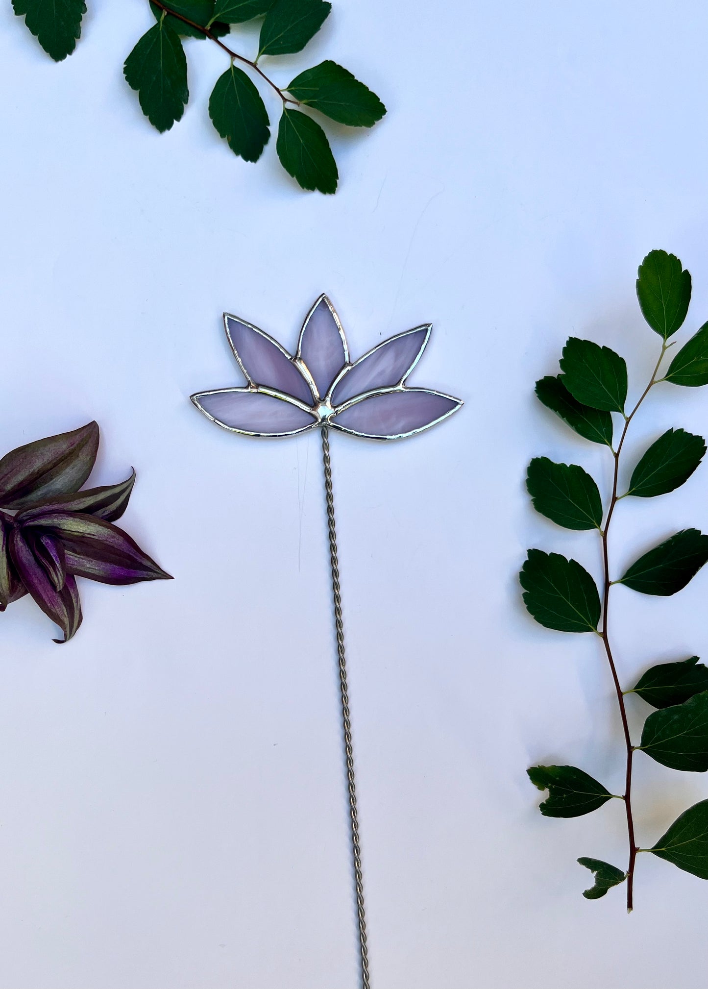 Forever florals - birth month 07 - July flower - water lily