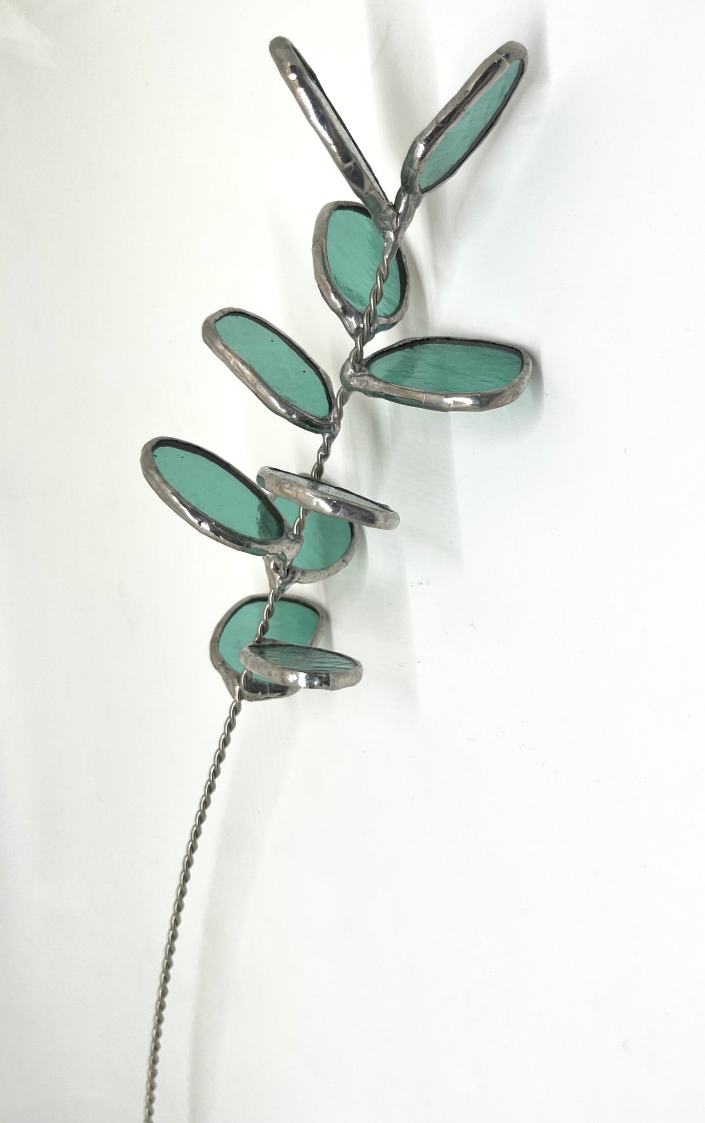Forever florals - eucalyptus stem