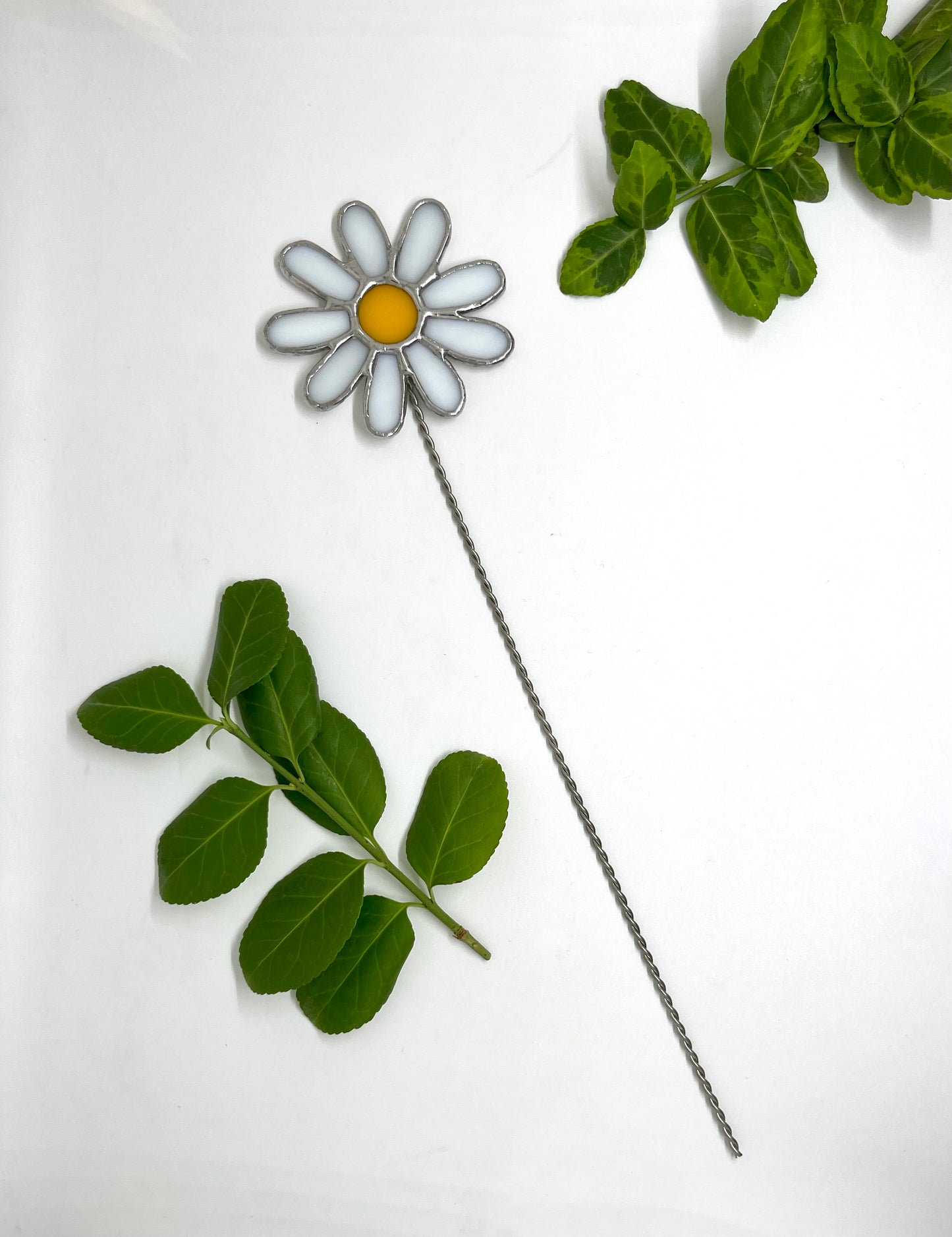 Forever florals - birth month 04 - April flower - daisy