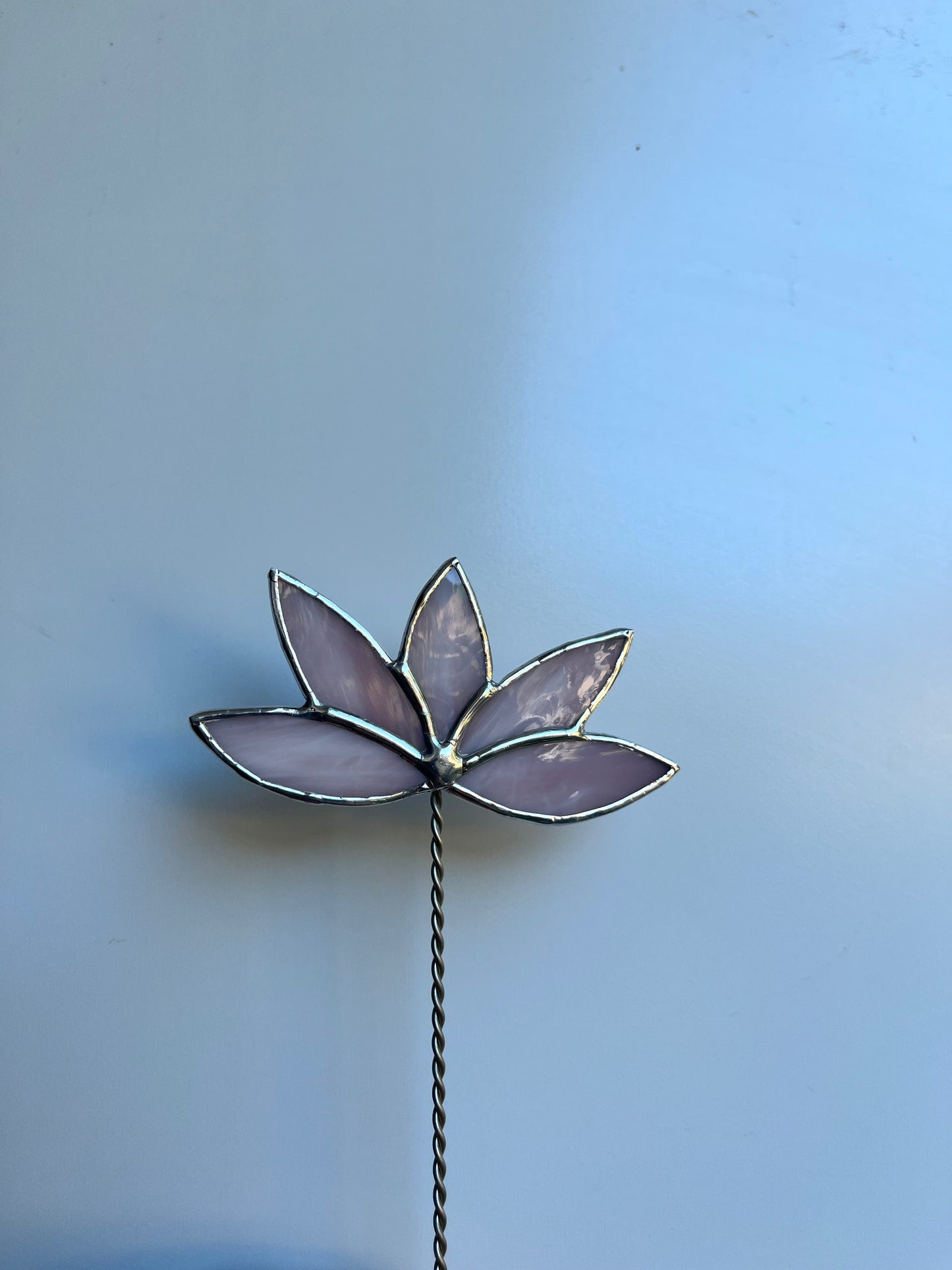 Forever florals - birth month 07 - July flower - water lily