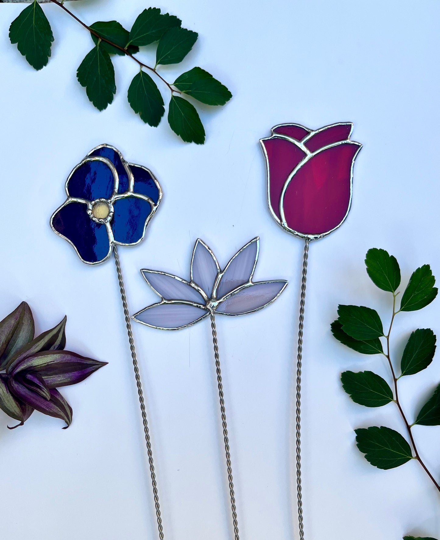 Forever florals - birth month 02 - February flower - violet