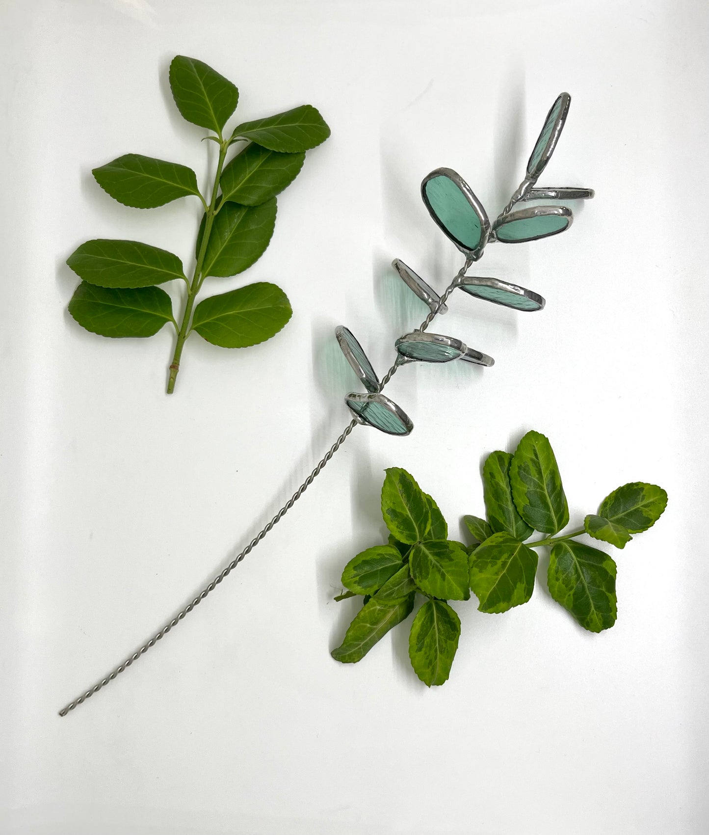 Forever florals - eucalyptus stem