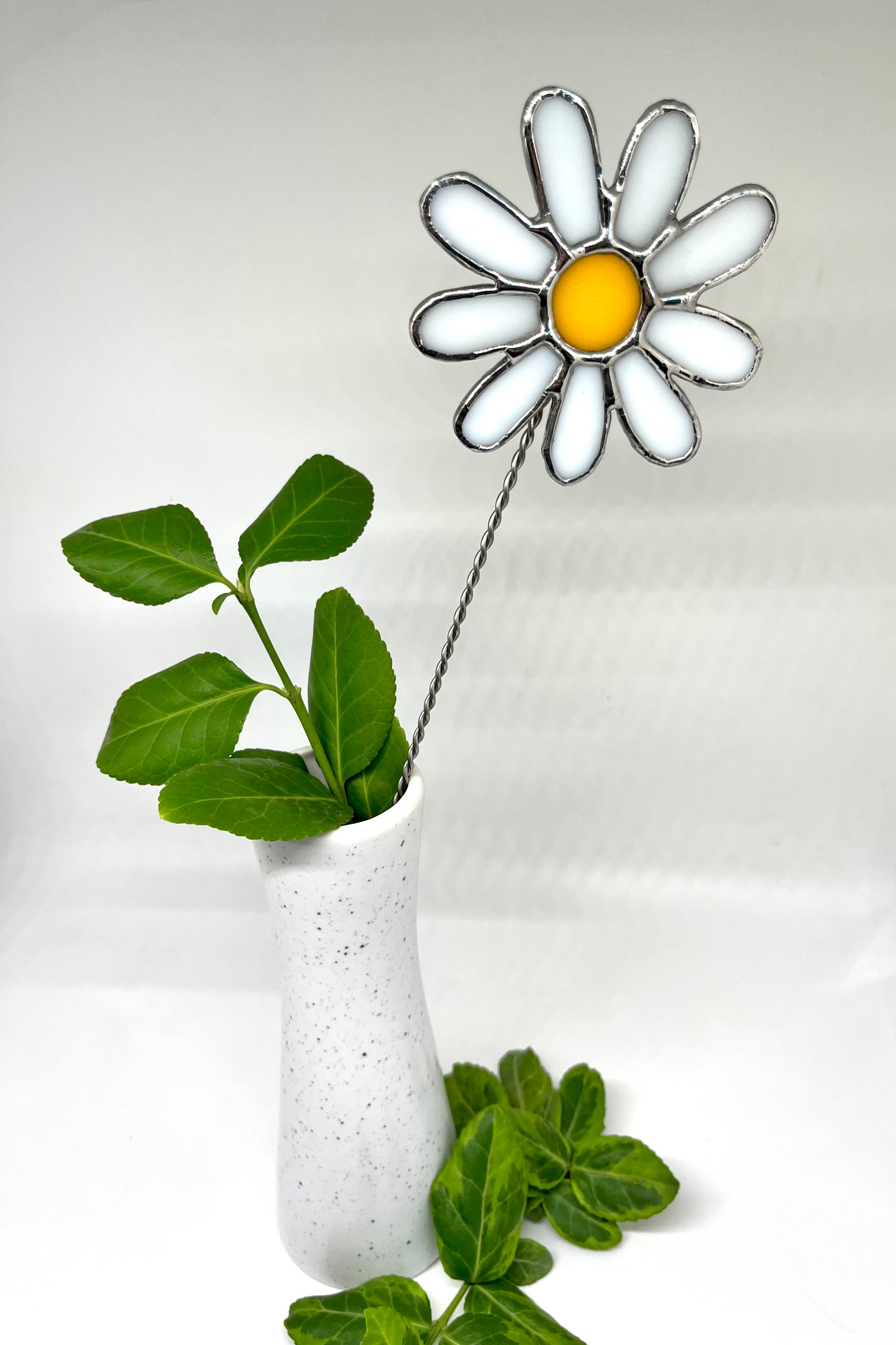 Forever florals - birth month 04 - April flower - daisy