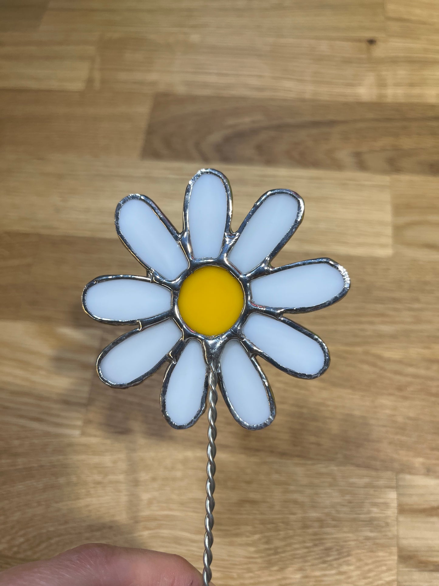 Forever florals - birth month 04 - April flower - daisy