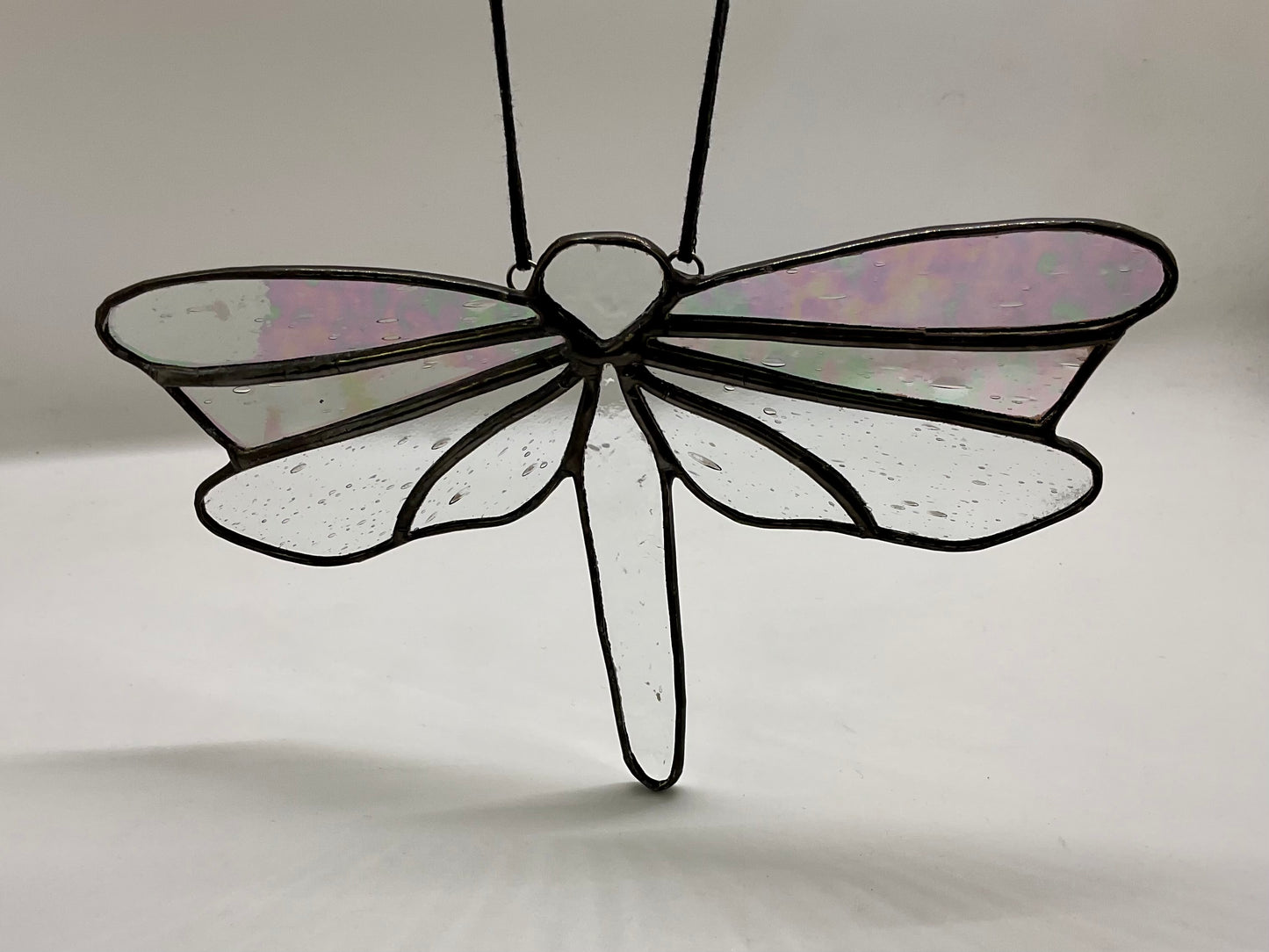 Dragonfly with iridescent wings