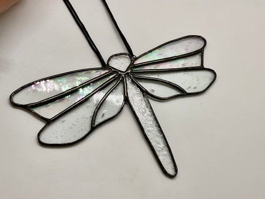 Dragonfly with iridescent wings